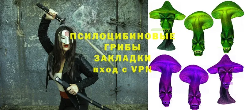 Псилоцибиновые грибы Cubensis  купить закладку  Лакинск 